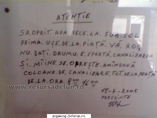poza zilei