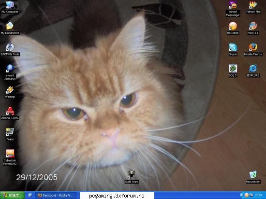 Desktop-ul - Horney_One_kenoby - Vorbe`n vant