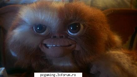 Poza Zilei - ce dragut ii nuh :D:D:D:D - Groapa de Gunoi