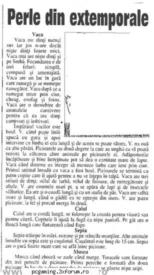 Poza Zilei - vaca musca casalotul - Groapa de Gunoi